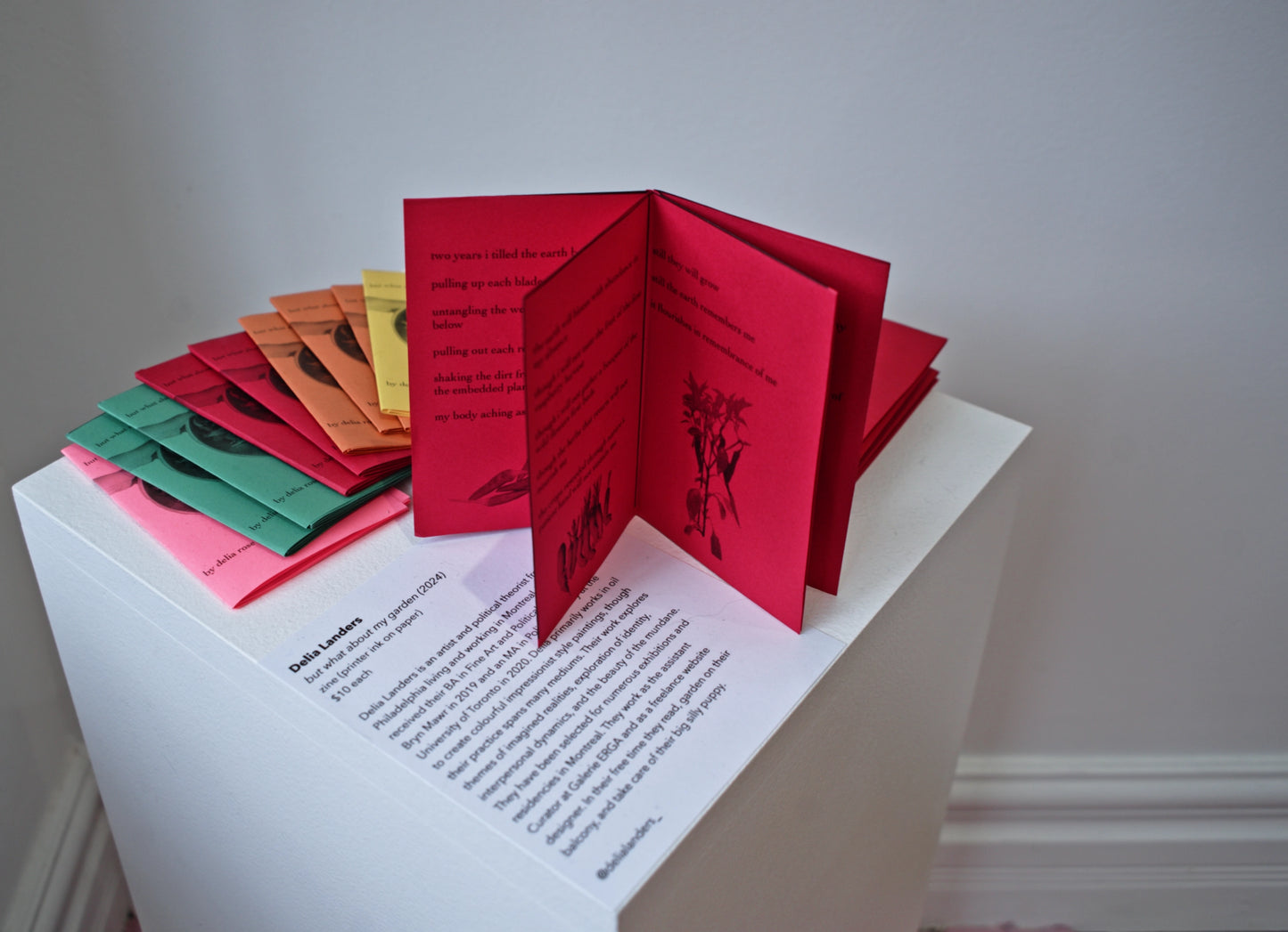 but what about my garden