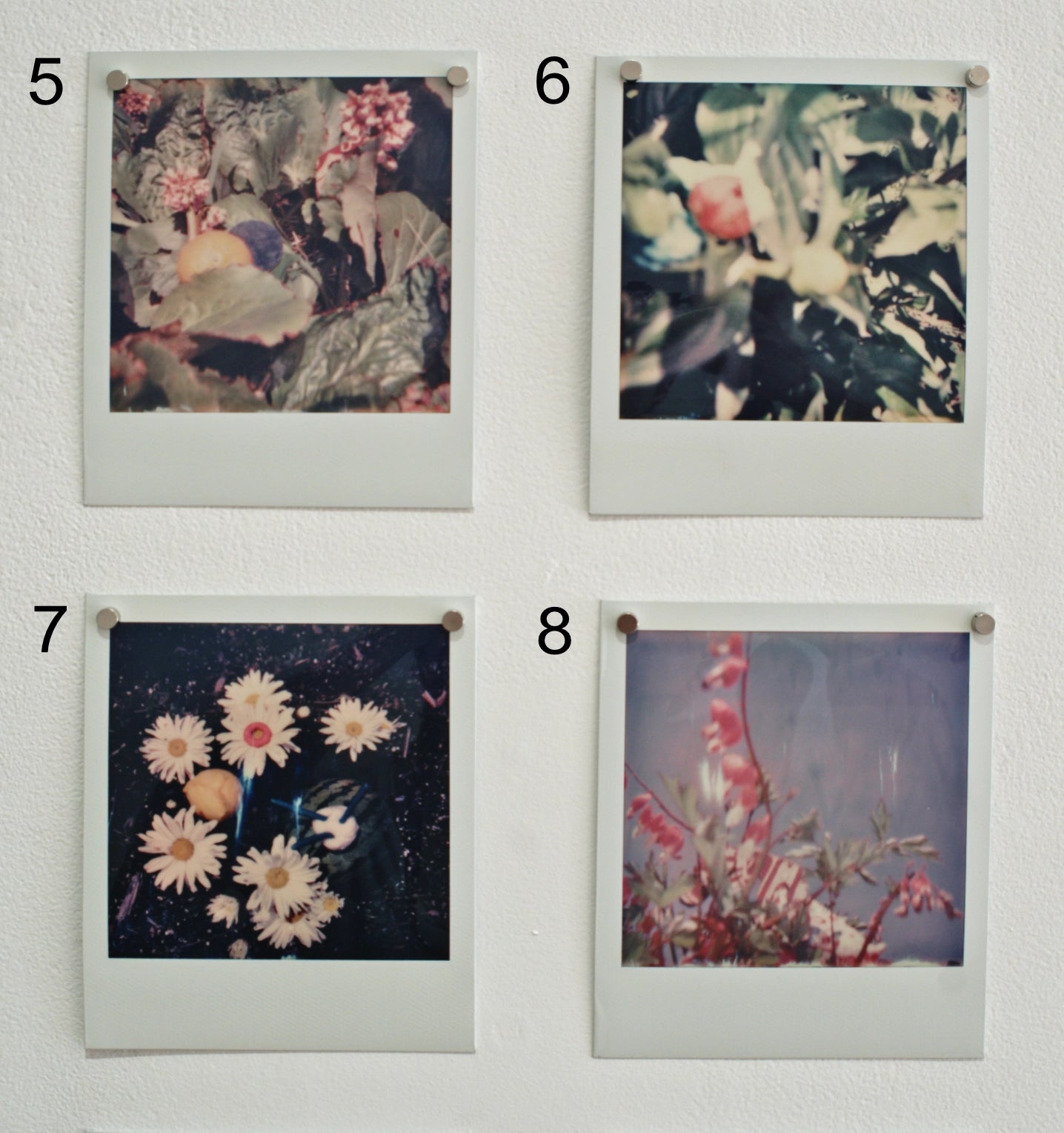 Série Jardins et jeux