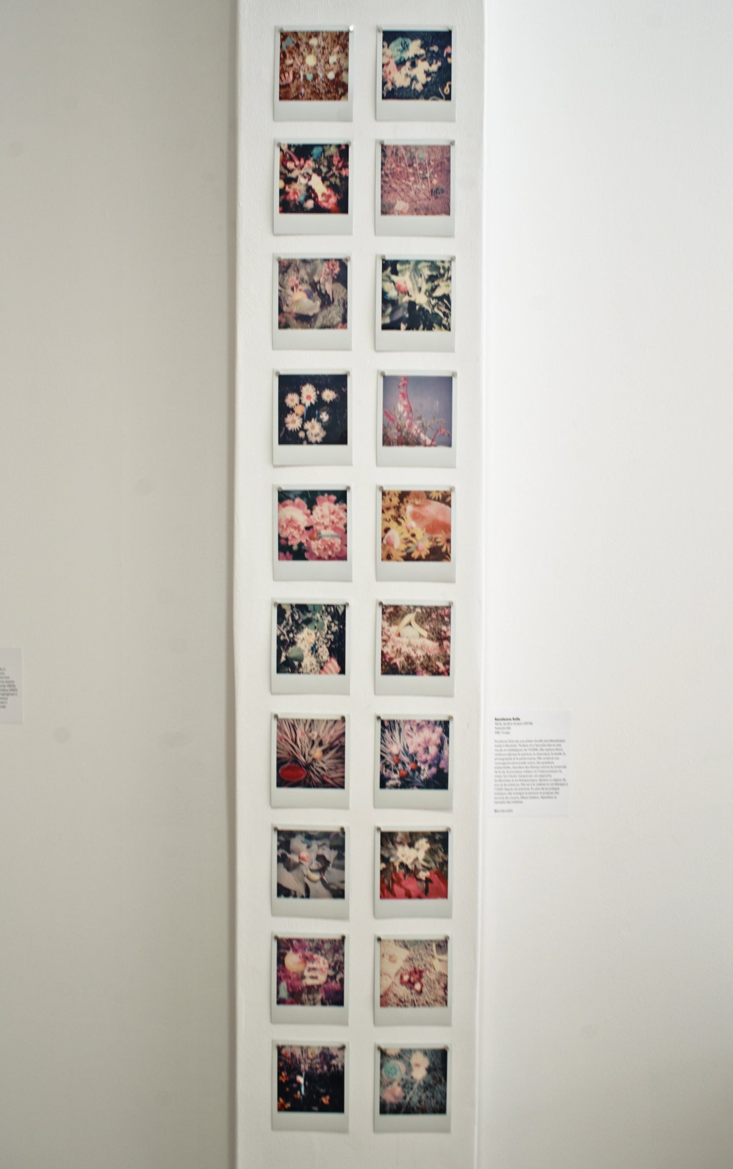 Série Jardins et jeux