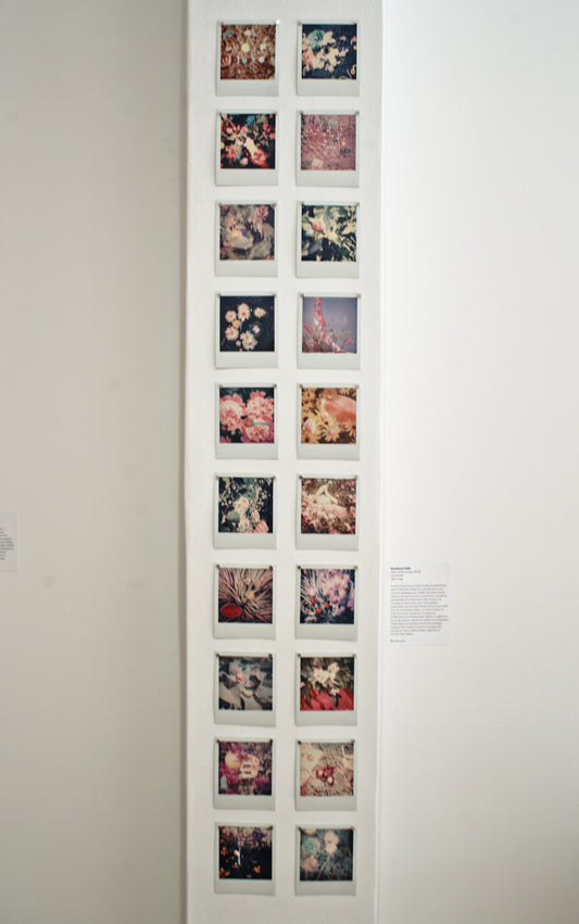 Série Jardins et jeux