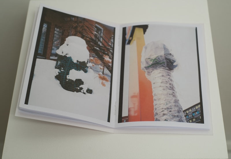 SHRUBTERFUGE photo zine